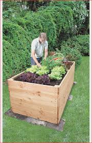 Garten Konzept 30 Frisch Hochbeet Selber Bauen Bauanleitung Pdf O99p Kebun