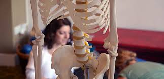 Check spelling or type a new query. Back Pain Reliva Physiotherapy Rehab