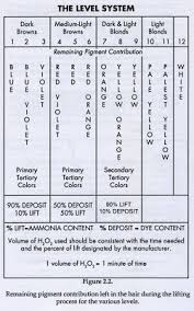 Pin On Professional Color Formulas
