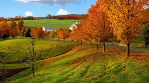 Check spelling or type a new query. 170 Poze De Toamna Ideas Desktop Wallpaper Nature Wallpaper Desktop