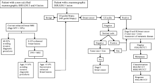 Breast Cancer A New Imaging Approach As An Addition To