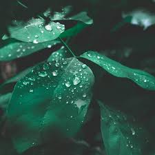 Let's stay inside until the rain lets up. the phrasal verb let up means stop completely, or at least become slower. Vaginal Dryness During Sex Why It Happens And What To Do About It Allure