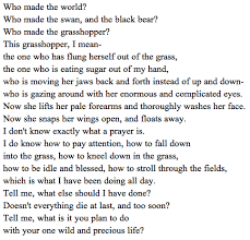 The Summer Day By Mary Oliver Has Been Shared All Over The Internet Because It Touches On A Need Within Us To Pay Attentio Mary Oliver Quotes Mary Oliver Words