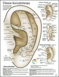 Lose Weight Using Auriculotherapy Or Acupuncture Hi There