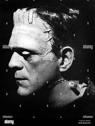 BORIS KARLOFF come il mostro NELLA SPOSA DI FRANKENSTEIN 1935 regista JAMES  WHALE art direzione Charles D. Hall Universal Pictures Foto stock