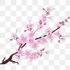 Watercolor Sakura Frame Background With Blossom Cherry Tree Branches Sakura Blossom Hand Drawn Png And Vector With Transparent Background For Free Download Cherry Blossom Art Flower Backgrounds Blossoms Art