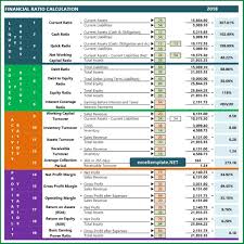 Financial Ratio Calculator Ms Project