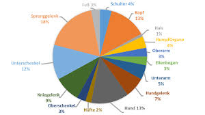 665.000 5,1% nicht organisiert 10 mio. Unfallpravention Im Sport Stiftung Sicherheit Im Sport