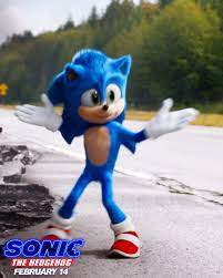 Sonic The Hedgehog In Theatres Feb 14 Sonic The Hedgehog Hedgehog Movie Sonic The Movie