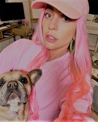 Tmz reported that the dogs belong to lady gaga, who was reportedly offering a reward in the case. L3ig2bjpijio3m