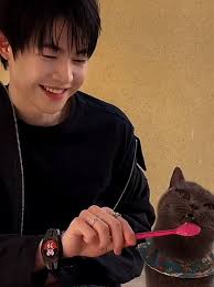 Royce Universe League