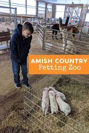 Kid Favorite Hershberger S Farm Petting Zoo Yodertoterblog Zoo Animals Pets Zoo