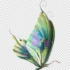 30,674 transparent png illustrations and cipart matching butterfly. Download Transparent Background Butterfly Png Clipart Butterfly Transparent Background Clipart Butterflies Png Image With No Background Pngkey Com
