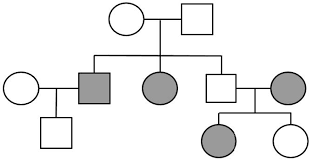 Reinforcement Genetics