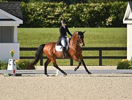 Münter Brings Along New Mounts to Conclude World Equestrian Center April  Dressage CDI3*
