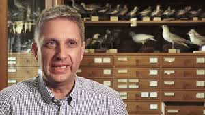 Im Kosmos der Vogelkette