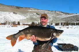 Fishing In Utah Record Breaking Lake Trout Fish Lake Utah Lake Trout Fishing Lake Fishing Trout Fishing