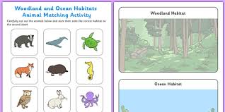 Explore various animal habitats with these activities, diorama crafts & project ideas for kids in preschool, kindergarten, 1st, 2nd and 3rd grade! Woodland And Habitats Animal Sorting Worksheet Matching To Animals Worksheets Sc Activity Matching Habitats To Animals Worksheets Worksheets Math Problem S Algebra Questions And Answers For Grade 6 Second Grade Common Core