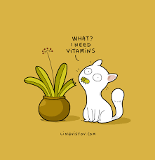 Lingvistov Com Illustrations Doodles Joke Humor Cartoon Cute Funny Comics Greeting Cards Joke Drawing Cats Funny Cats Crazy Cats Cats