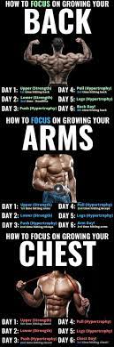 Nov 05, 2021 · instead, you're going to use these exercises: Pin On Arms