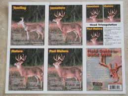 whitetail buck age chart