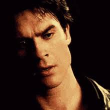 Check spelling or type a new query. Damon Salvatore Face Gifs Tenor