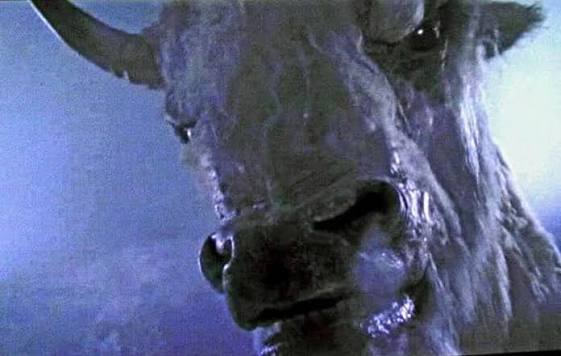 How about this movie "the Shadow of Chikara. (1977) filmed in the fall of  1977 on the Buffalo River