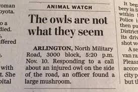 نتیجه جستجوی لغت [headlines] در گوگل