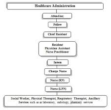 sick girl speaks the professional chain of command an