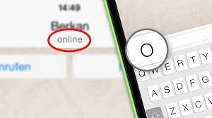 Whatsapp wollte seine nutzungsbedingungen und datenschutzrichtlinien aktualisieren. Whatsapp Online Status Verbergen Computer Bild