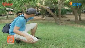 The tiny airport is located just. 6 Rencana Kebijakan Seputar Pulau Komodo Yang Jadi Kontroversi Lifestyle Liputan6 Com