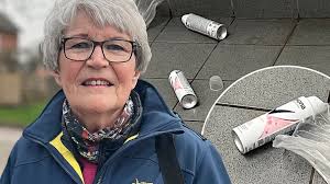 Unges svineri med gammel sniffetendens fik ældre kvinde til tasterne