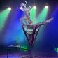 New Years Eve Cabaret Spectacular 12 live acts event image