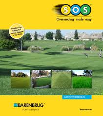 Lolium multiflorum italian ryegrass , annual ryegrass is a ryegrass native to temperate europe , although the precise location of its origin is unknown. Rye Grass Seeds Barenbrug Sos 400 J J Nursery Spring Tx 281 355 6884