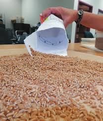 Getting grain in, getting moisture out