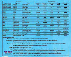 Kratom Potency Chart Fort Myers Cirrus Smoke Shop Sista