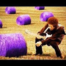 Purple Hays Funny Memes Mario Characters Memes