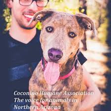 Maybe you would like to learn more about one of these? Canyon Pet Hospital Home Facebook