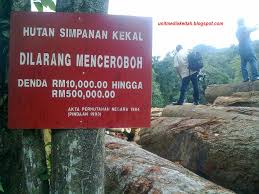 Kebun durian musang king yang ditanam secara haram dalam hutan simpan kekal batu talam meliputi kawasan tadahan air yang menjadi sumber air penduduk daerah ini. Pengajian Malaysia Langkahlangkah Pemeliharaan Dan Pemuliharaan Alam Sekitar