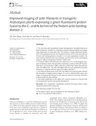 Blanca flor está dedicada a crear productos con la mayor conciencia posible para ser amigable con el. Pdf Improved Imaging Of Actin Filaments In Transgenic Arabidopsis Plants Expressing A Green Fluorescent Protein Fusion To The C And N Termini Of The Fimbrin Actin Binding Domain 2
