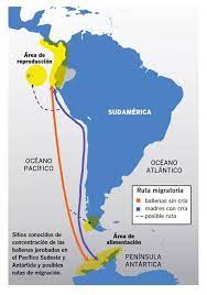 Mapa de rutas de ballenas