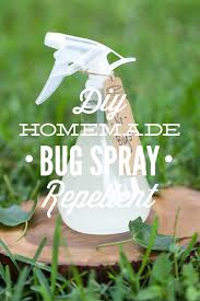 While covering up is the best option. Diy Homemade Bug Spray Repellent Live Simply