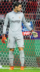 On parle de thiago silva, zlatan ibrahimović, yohan cabaye, thiago motta, verrati, cavani. Sergio Rico Wikipedia