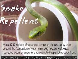 Pin By Kel L On Garden And Outside Snake Repellant Tips Pest Control