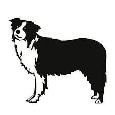 Free Svg File Download Border Collie Dog Beaoriginal Blog Collie Border Collie Dog Border Collie