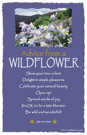 Growth Advice From A Wildflower Open Up Your True Nature Nature Quotes Advice Quotes Wild Flowers