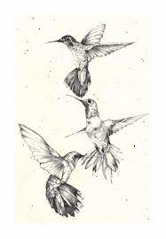 Because The Hummingbird Is So Small It Has To Work Hard To Survive A Tattoo Of Hummingbird Tattoo Design Hummingbird Tattoo Bird Tattoo Meaning