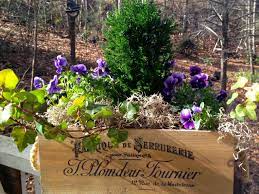 Fill in gaps with cascading ivy or vinca for a whimsical touch. Plant A Winter Window Box Hgtv