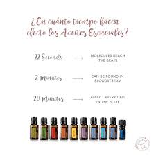 En Cuanto Tiempo Hacen Efecto Los Aceites Esenciales De Doterra Essential Oils Work Essential Oils Essential Oil Blends