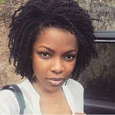 Mini Twists Natural Hair Inspiration Natural Hair Twists Hair Pictures